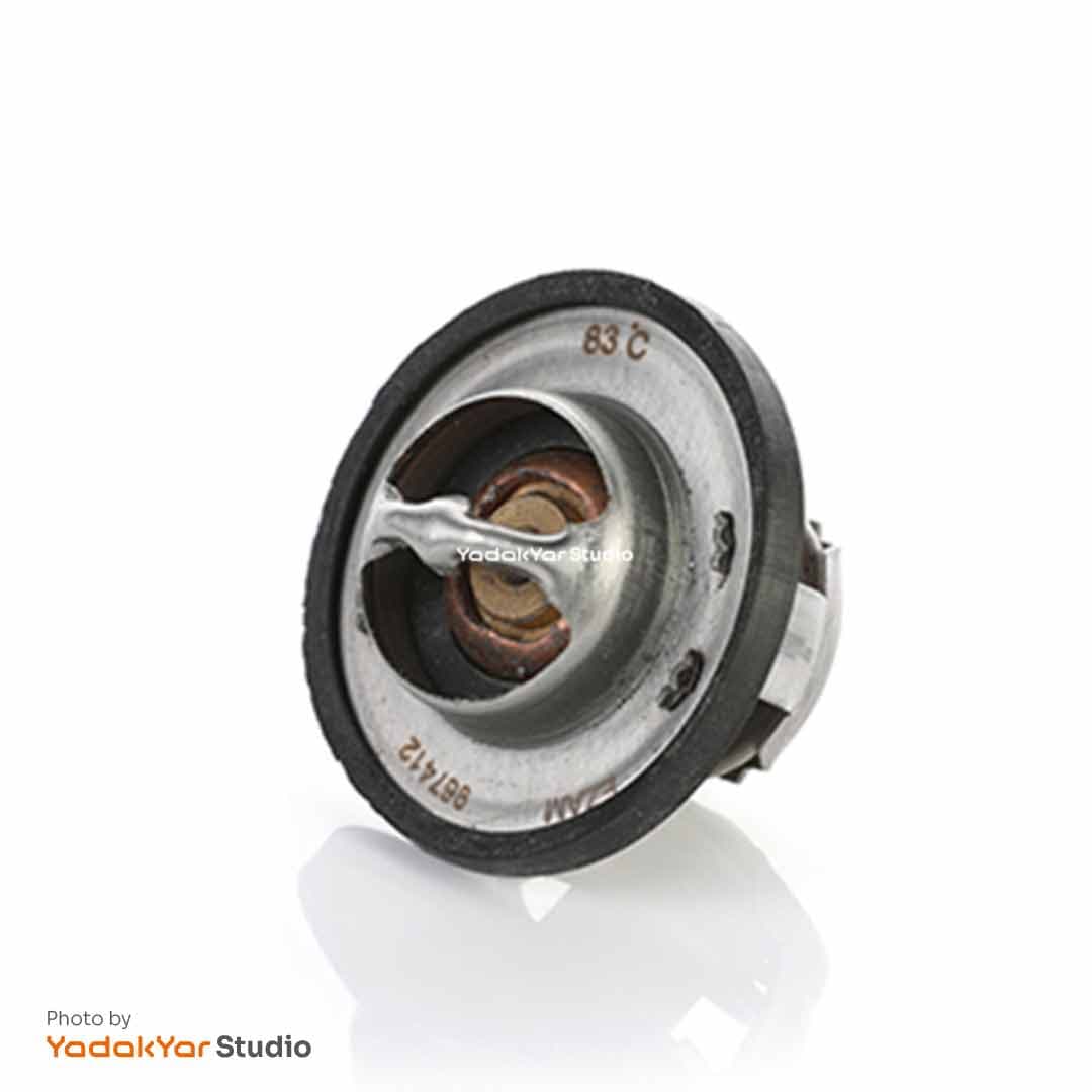 ترموستات سمند ایساکو