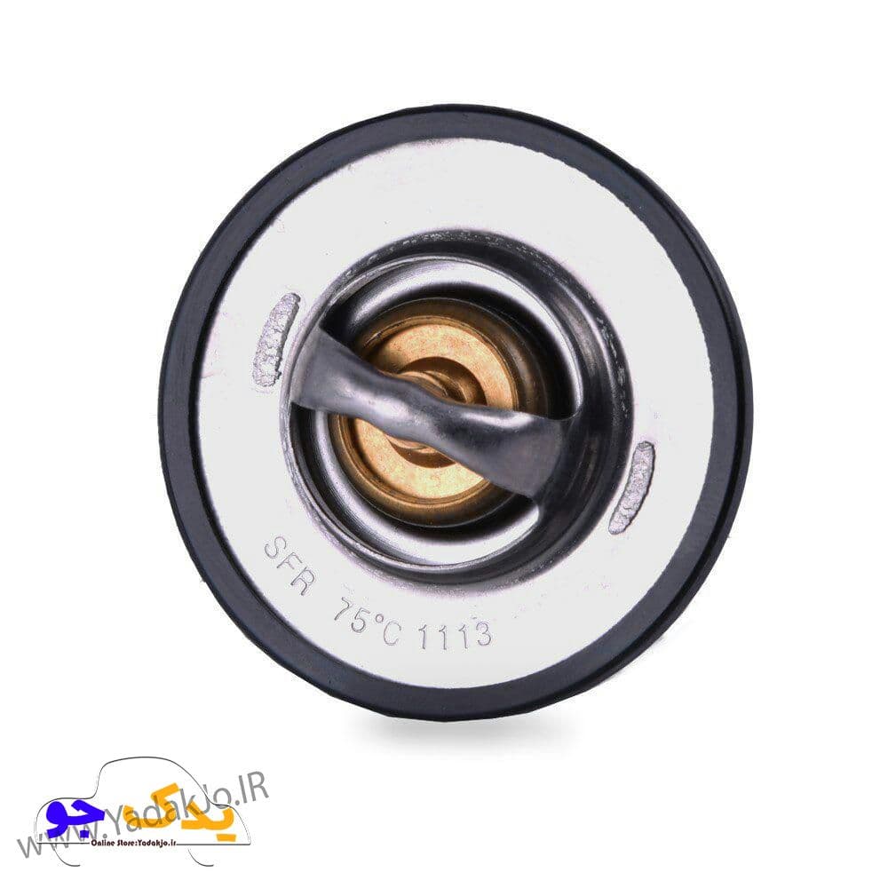 ترموستات ۴۰۵ 75درجه باباپارت