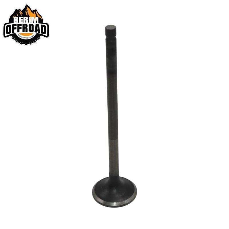 سوپاپ دود ژاپنی برند HONDA مناسب برای XR 250 مدل 95-07