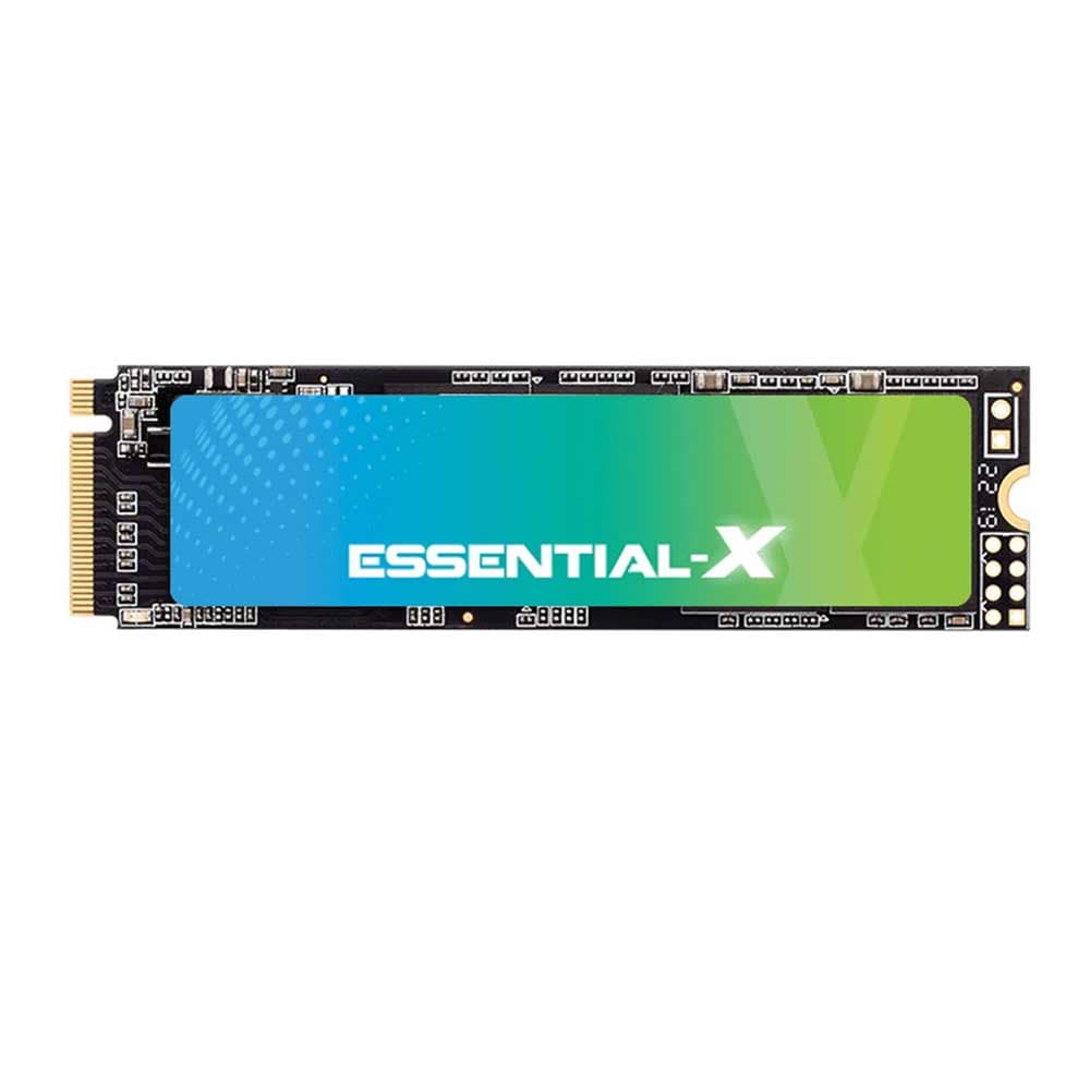 اس اس دی اینترنال اگزاسند مدل ExAscend Essential X ظرفیت 256 گیگابایت