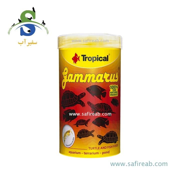 غذای لاک پشت و ماهیان زینتی بزرگ گاماروس تروپیکال