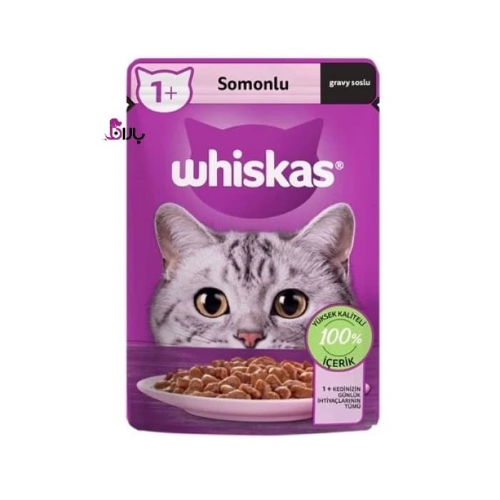 پوچ گربه ویسکاس سالمون