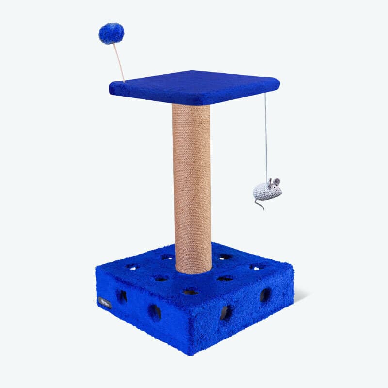 اسکرچر پنیری گربه نیناپت