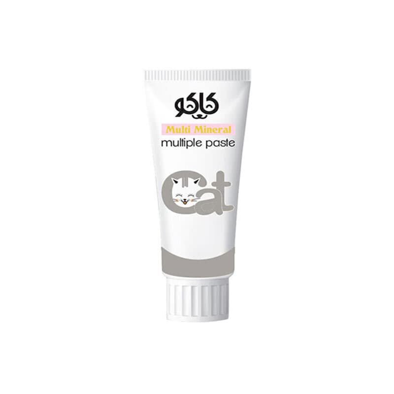 خمیر مینرال مخصوص گربه کاکو وزن 100 گرم