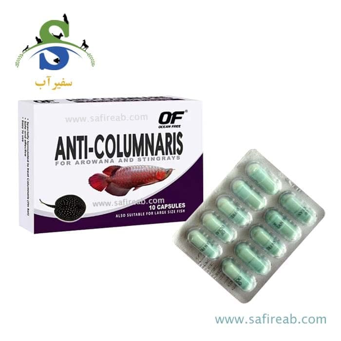 کپسول آنتی کالومناریس درمان بیماری ستون فقرات و پوسیدگی باله آروانا و سفره ماهی اوشن فری