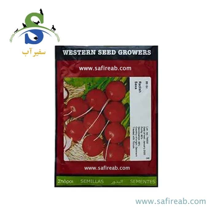 بذر تربچه استاندارد ساکسا وسترن سید