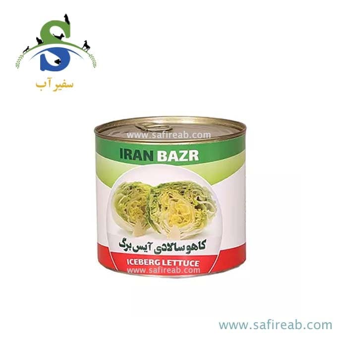 بذر کاهو استاندارد آیس برگ ایران بذر