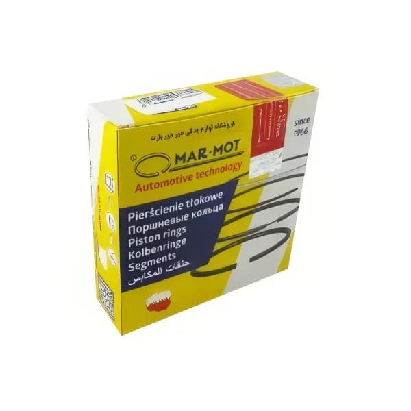 رینگ موتور پژو XUM – مارموت لهستان