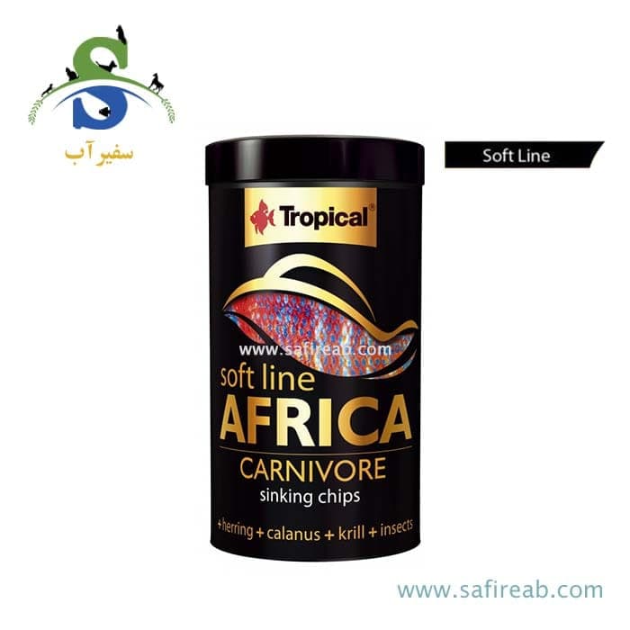 غذای گرانول سافت لاین سیچلایدهای آفریقایی گوشتخوار تروپیکال