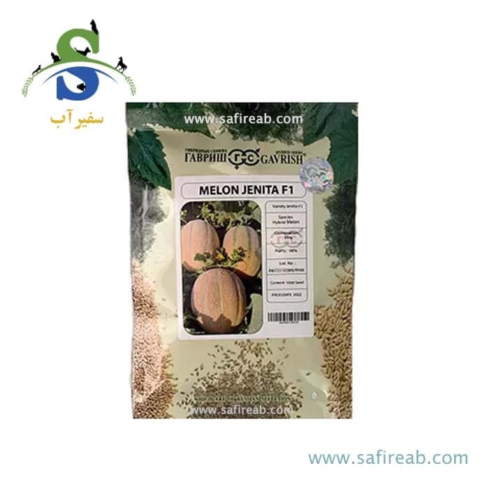 بذر ملون جنیتا گاوریش