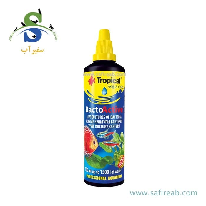 باکتری زنده باکتو اکتیو (۳۰ میل،۱۰۰ میل) تروپیکال