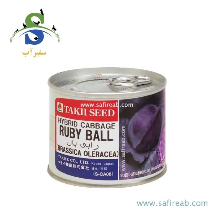 بذر کلم پیچ قرمز هیبرید روبی بال تاکی