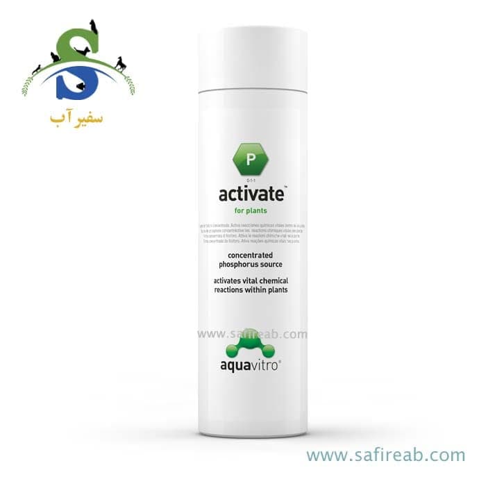 محلول فسفر حرفه ای اکتیویت آکوا ویترو سیچم