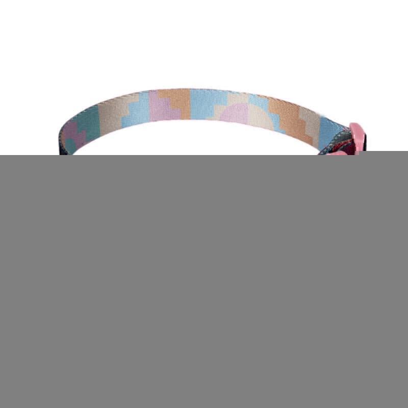 قلاده گردنی تسمه ای سگ نیناپت مدل دینو بدون لید سایز 1