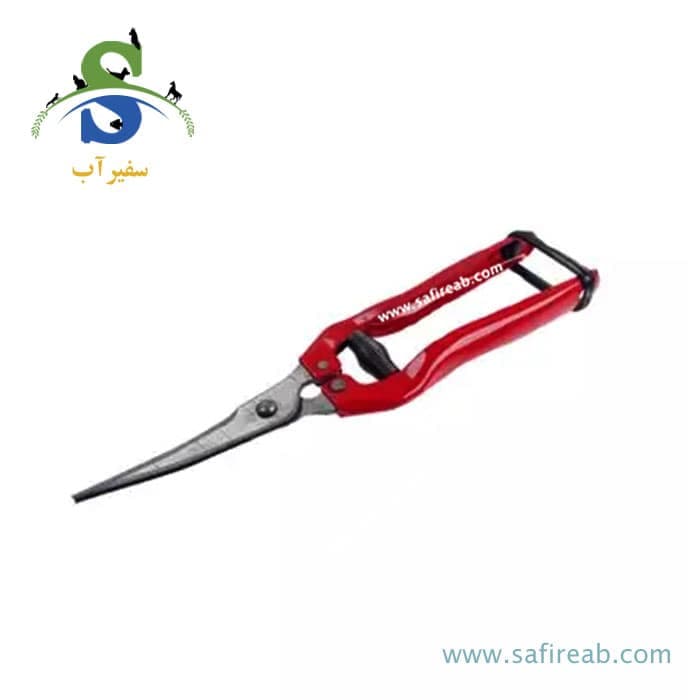 قیچی میوه چین