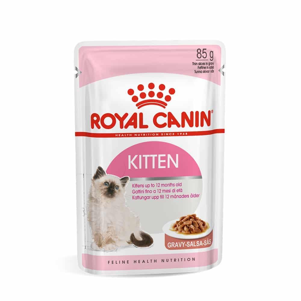 پوچ گربه رویال کنین مدل Kitten Gravy مناسب بچه گربه
