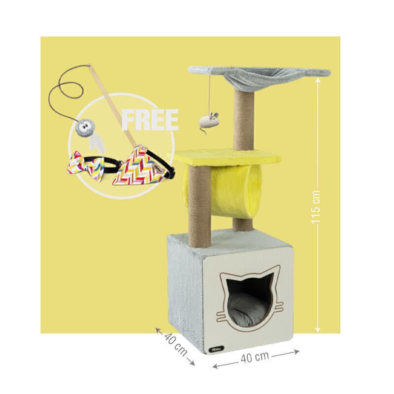 درخت گربه نیناپت کد ‌‌‌Z + هدیه