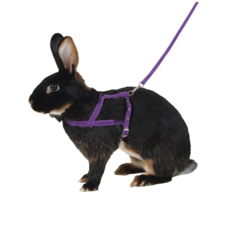 قلاده کتفی خرگوش همراه با لید Kerbl Shoulder Harness Agility with Leash