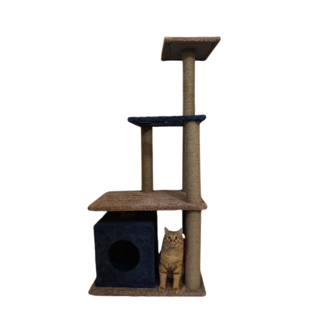 اسکرچر گربه تیفانی مدل بازارک 3 طبقه