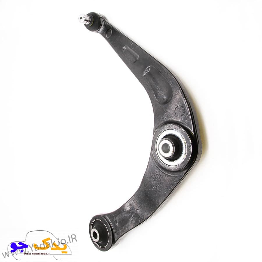 طبق رانا و 207 امیرنیا