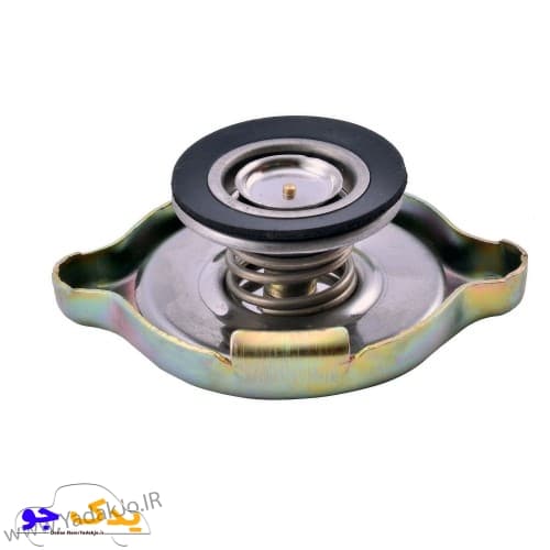 درب رادیاتور پیکان و آردی رویش