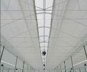 تور شید گلخانه رنگ سفید (عرض ۶ متر) تراکم ۸۰ درصد یووی دار Sheid