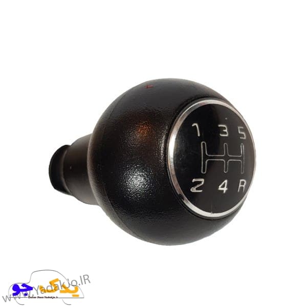 سردنده تیبا و ساینا