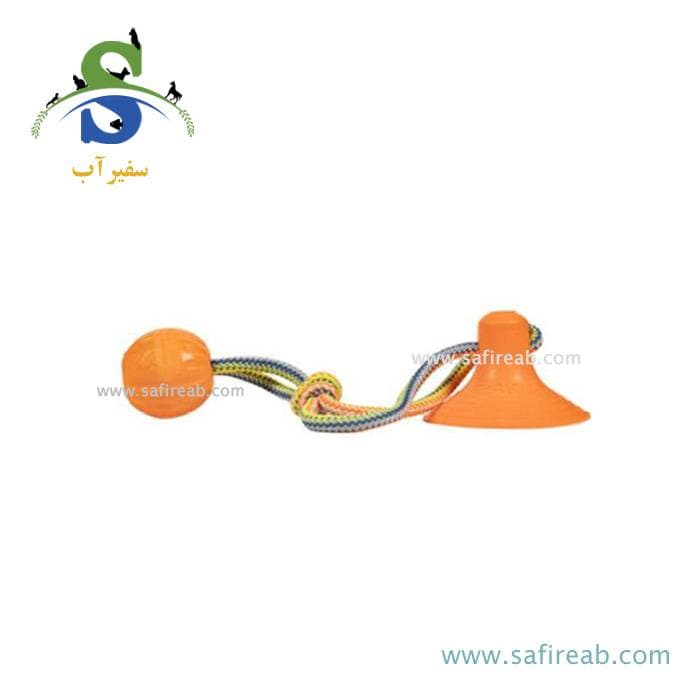 اسباب بازی دندانی وان فان فومی سگ