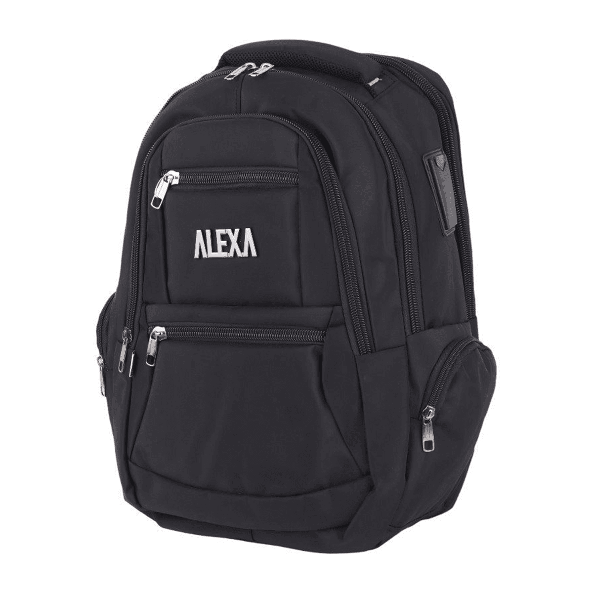 کوله پشتی لپ تاپ 15.6 اینچی مدل Alexa MC-419