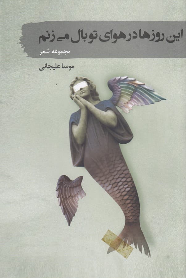 کتاب این روزها در هوای تو بال می زنم نشر سمام