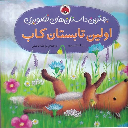 کتاب بهترین داستان های تصویری- اولین تابستان کاب نشر شهر قلم