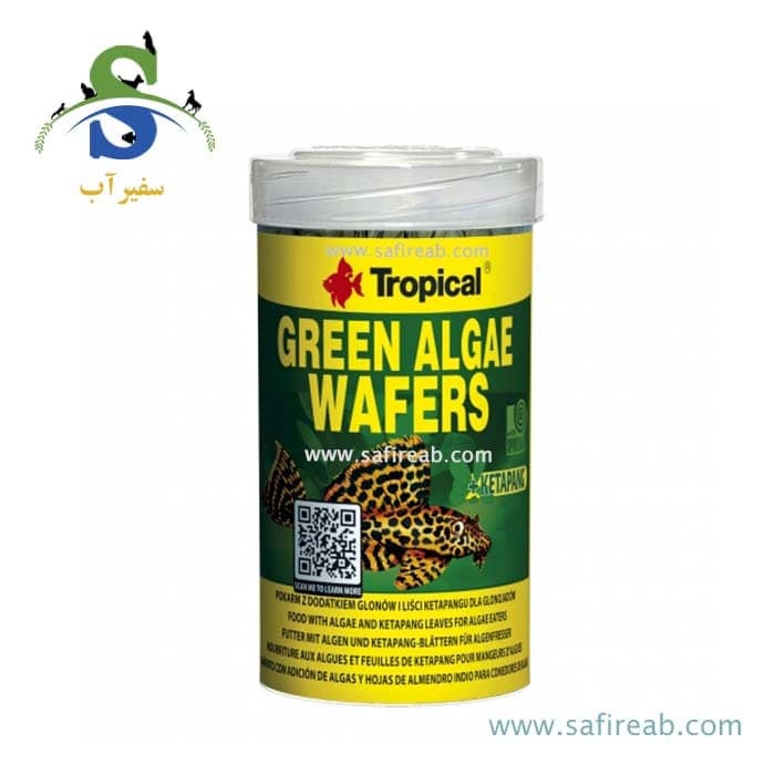 غذای ویفر گرین آلجی تروپیکال