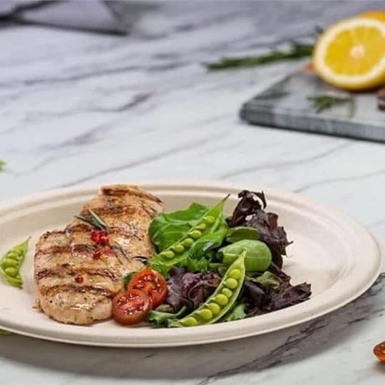 بشقاب باگاس گرد پیک نیک 6 عددی