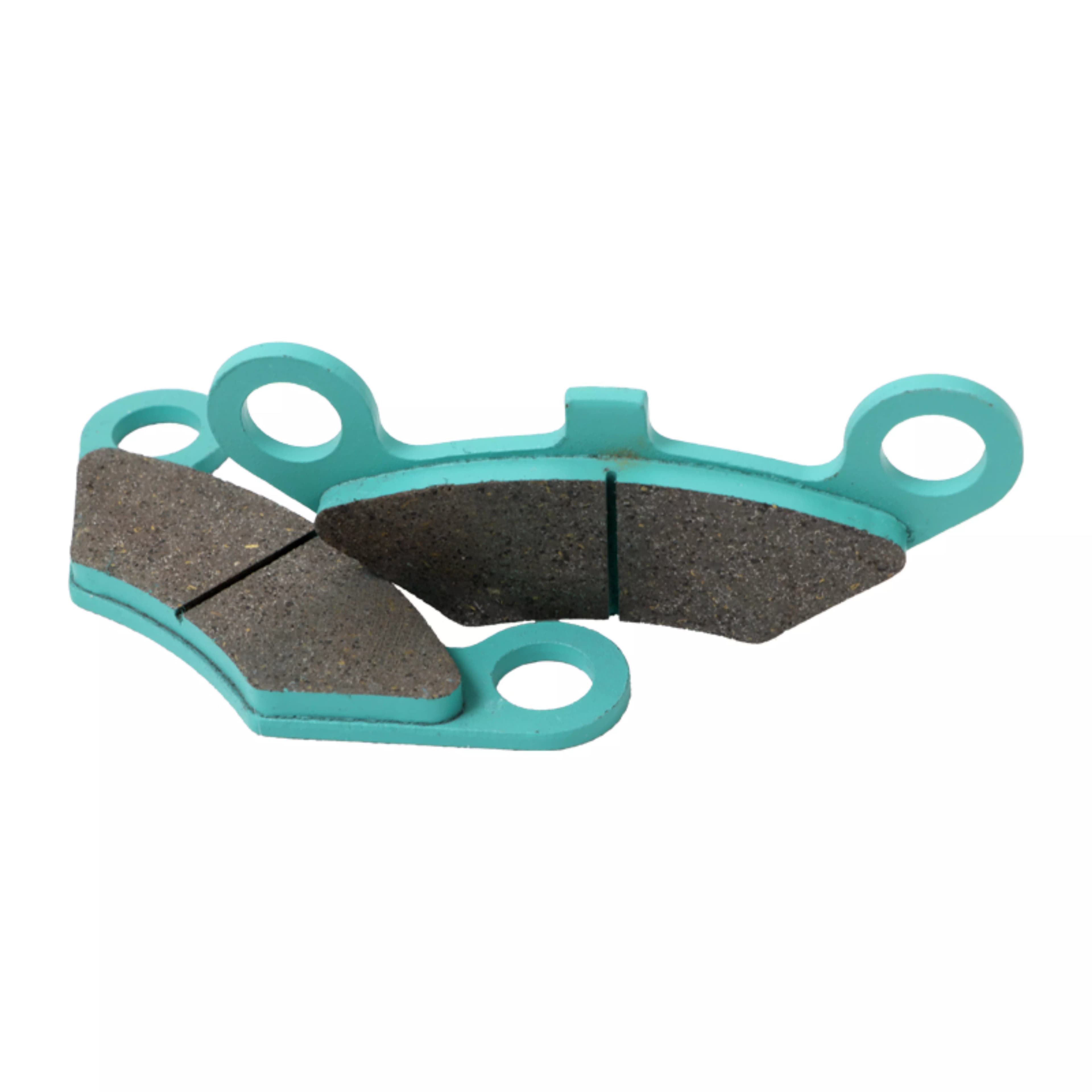 لنت احسان شکاری اسکار