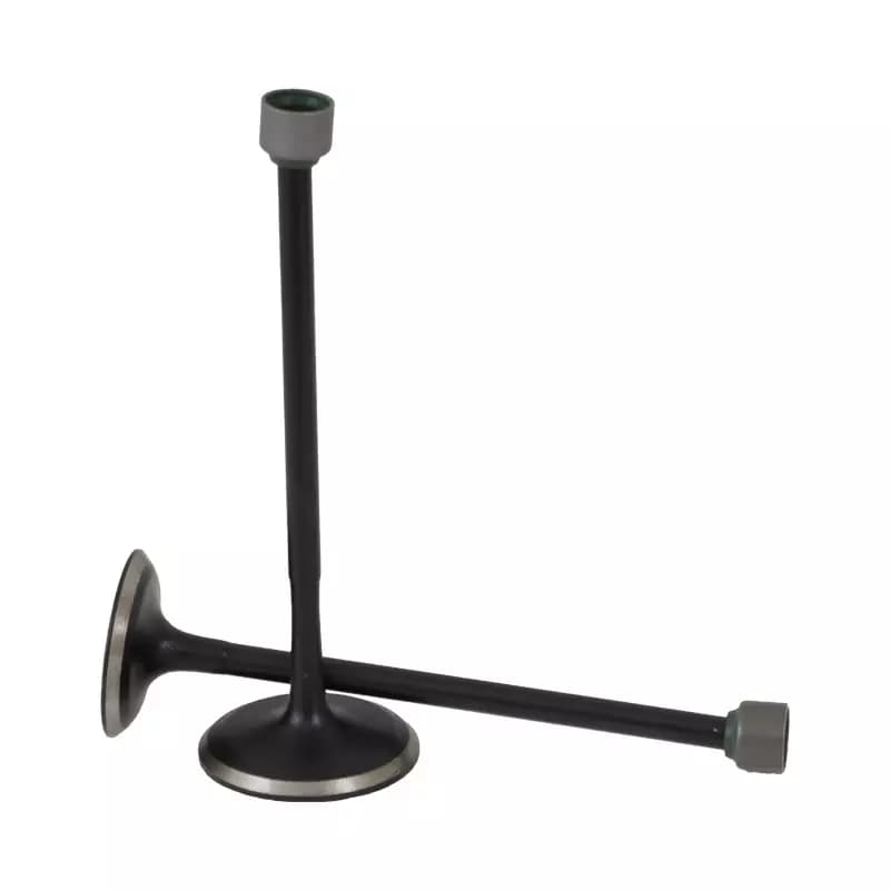 سوپاپ پالس 180 هندی