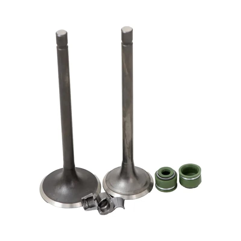 سوپاپ هوندا 150 ماکسیم کامل