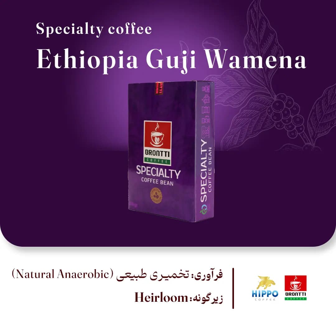 خرید قهوه اتیوپی گوجی وامنا اسپشیالیتی (Ethiopia Guji Wamena) [تازه رست شده]