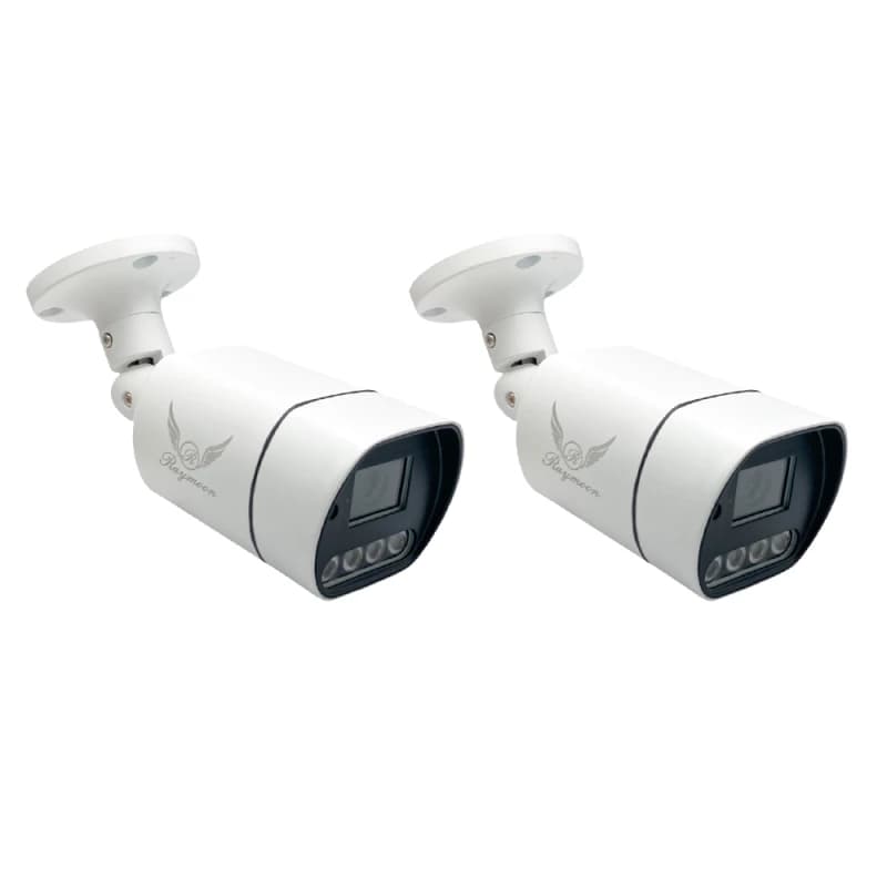 دوربین مداربسته تحت شبکه رایمون مدل 60Q بسته دو عددی 5 مگاپیکسل