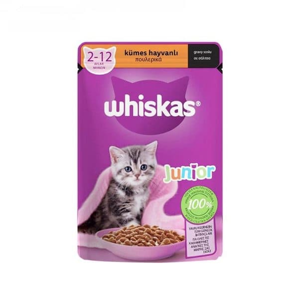 غذای پوچ بچه گربه با طعم گوشت طیور ویسکاس (Whiskas Poultry Junior Cat Pouch In Gravy) وزن 85 گرم