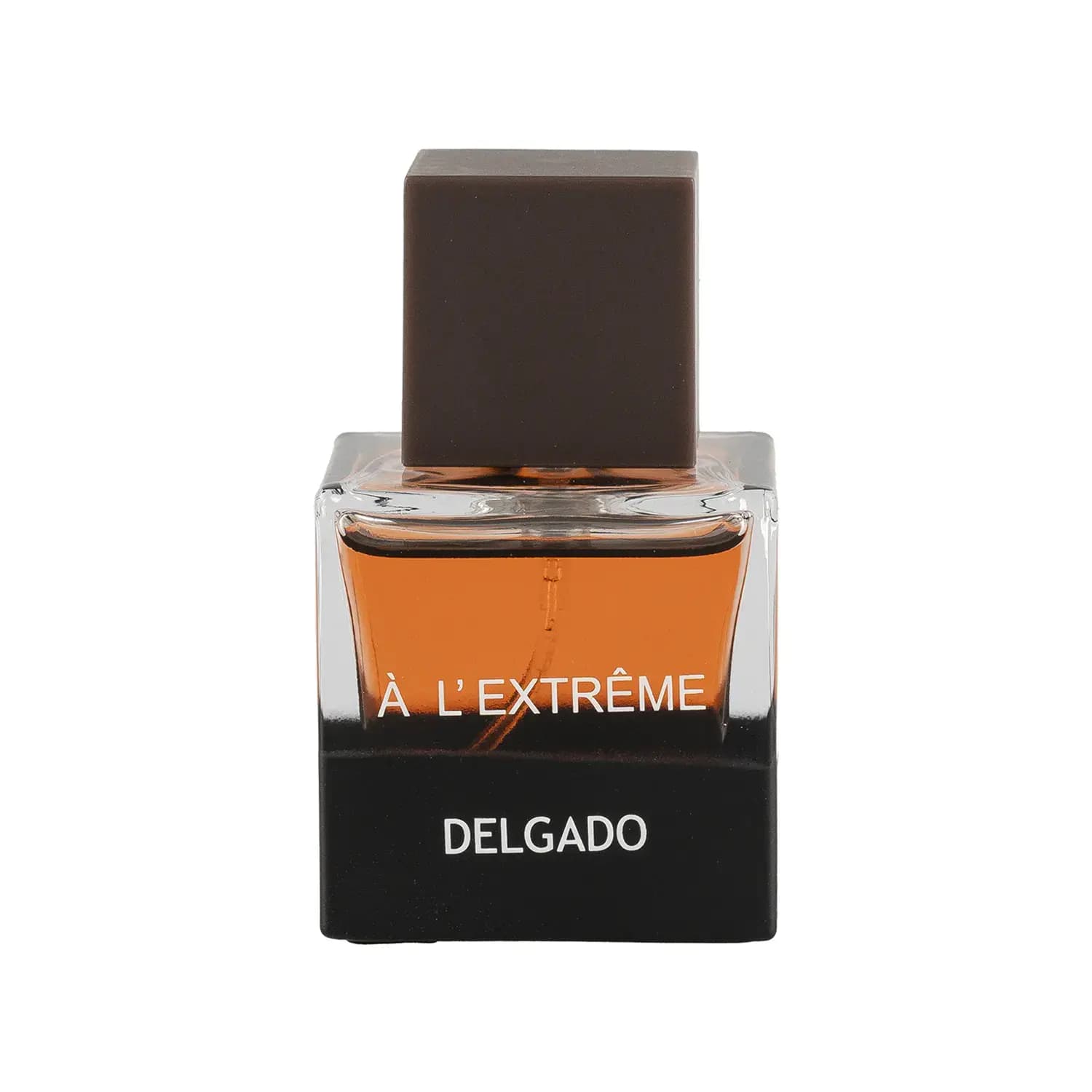 عطر جیبی مردانه دلگادو مدل A Lextreme حجم 25 میلی لیتر