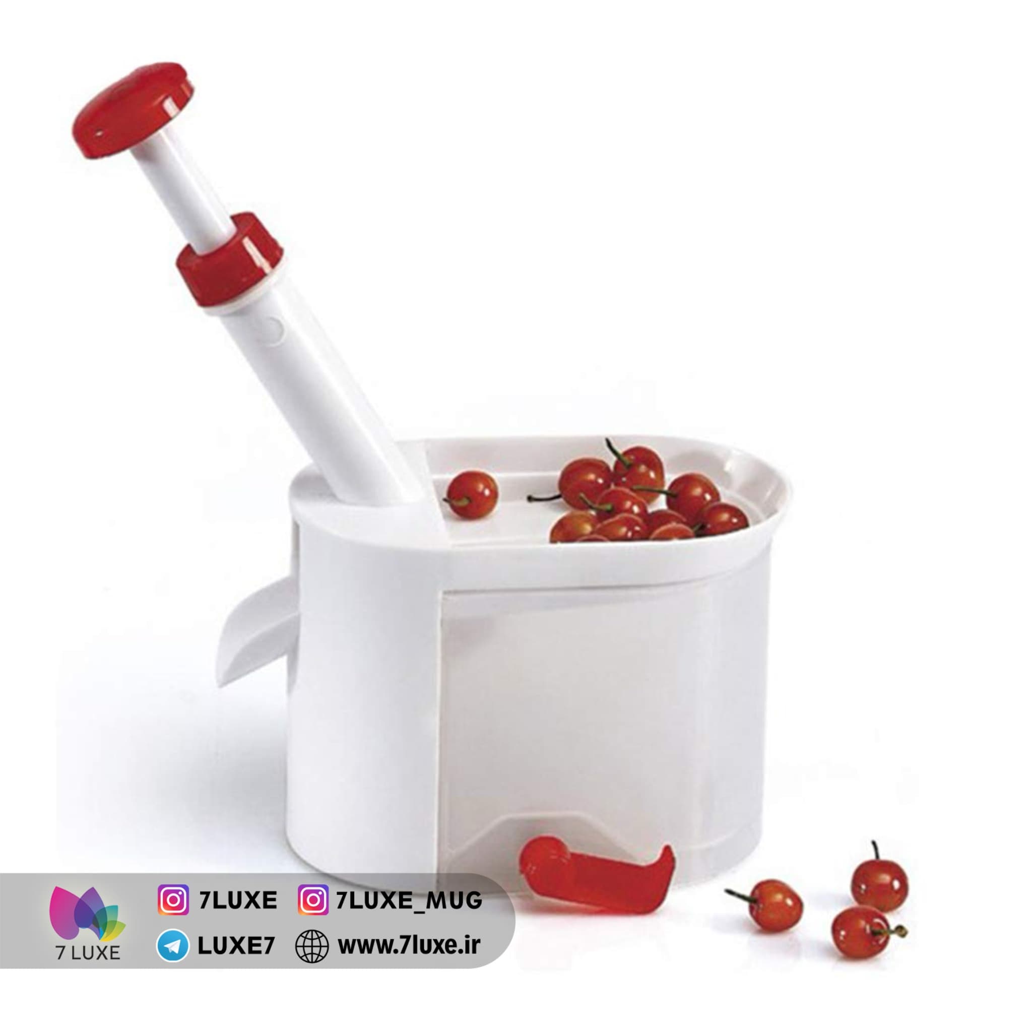 هسته گیر آلبالو