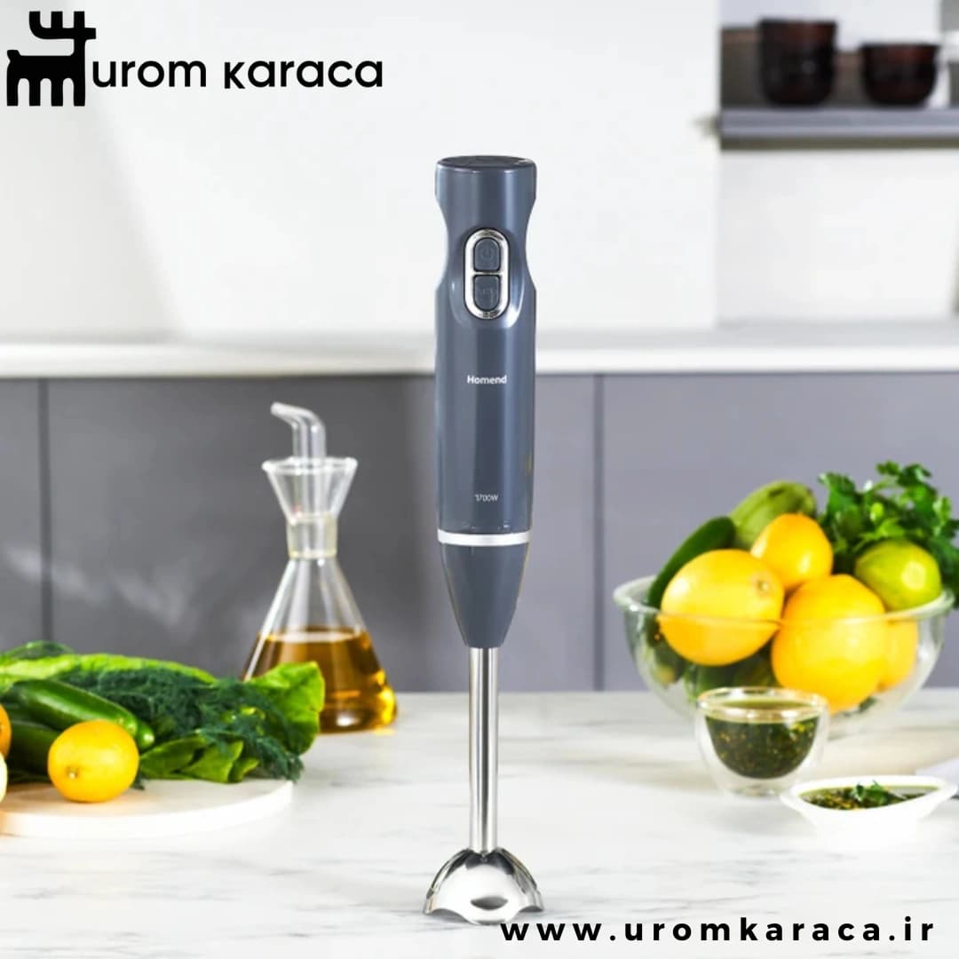 گوشت کوب برقی هومند Handmaid 1935h خاکستری