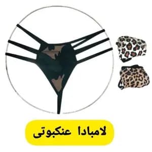 لامبادا عنکبوتی