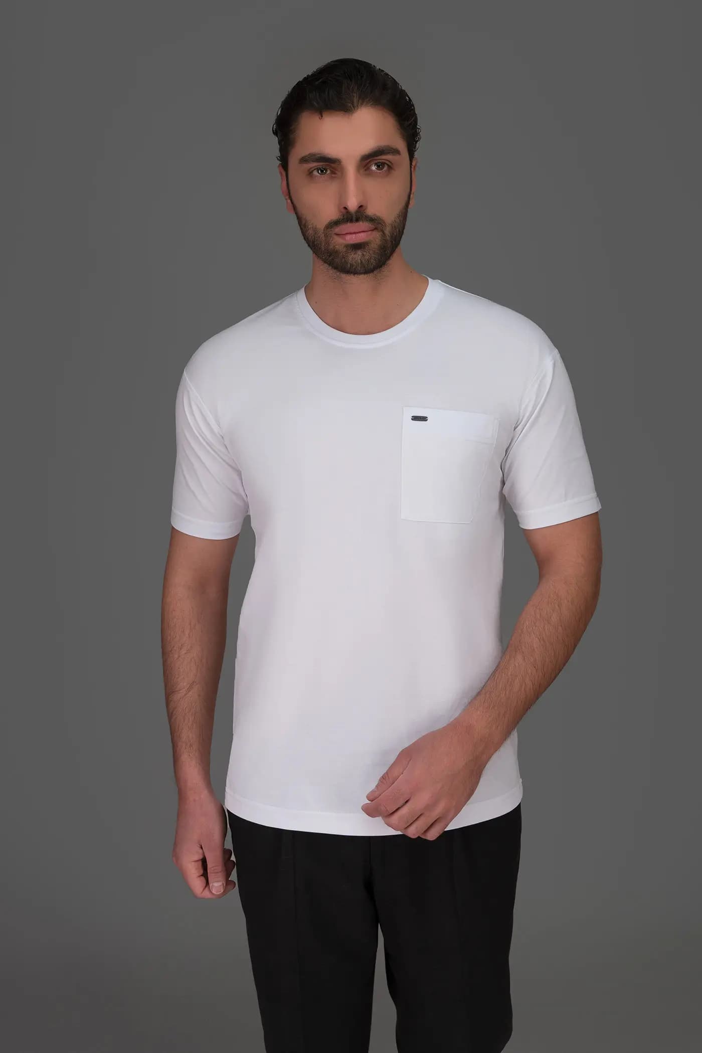 تی شرت آستین کوتاه مردانه 160154