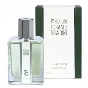 عطر مردانه کارون پوران هوم ادکلن مردانه کارون پوران هوم کد 01