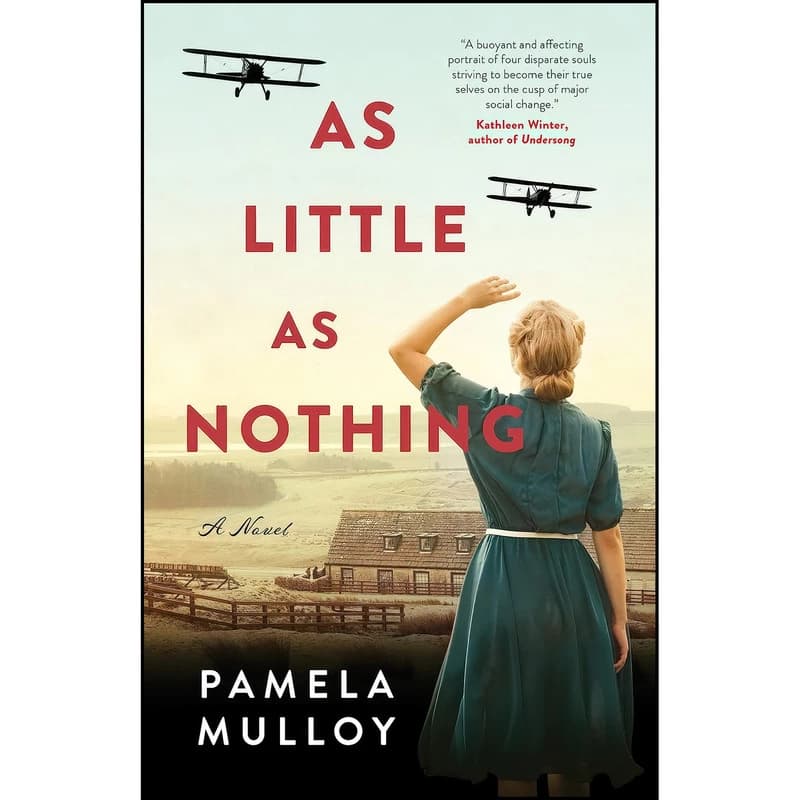کتاب As Little As Nothing اثر Pamela Mulloy انتشارات ECW Press