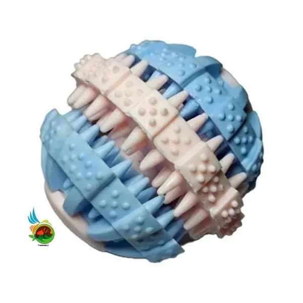 پتسا دندانی و مسواک تشویقی خور مدل آلما