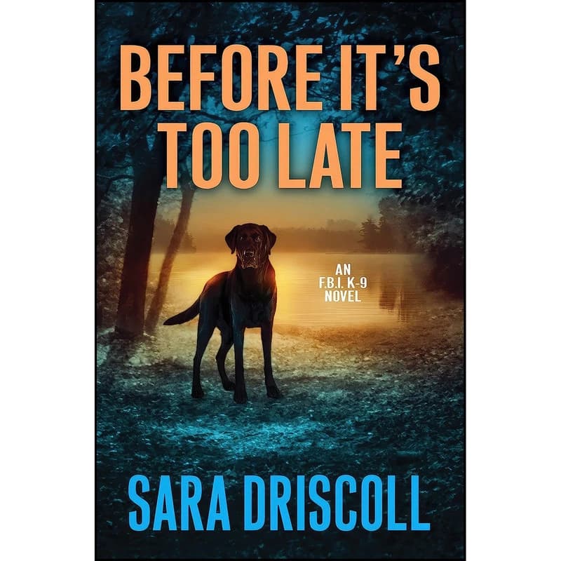 کتاب Before Its Too Late اثر Ann Vanderlaan and Jen J. Danna انتشارات Kensington