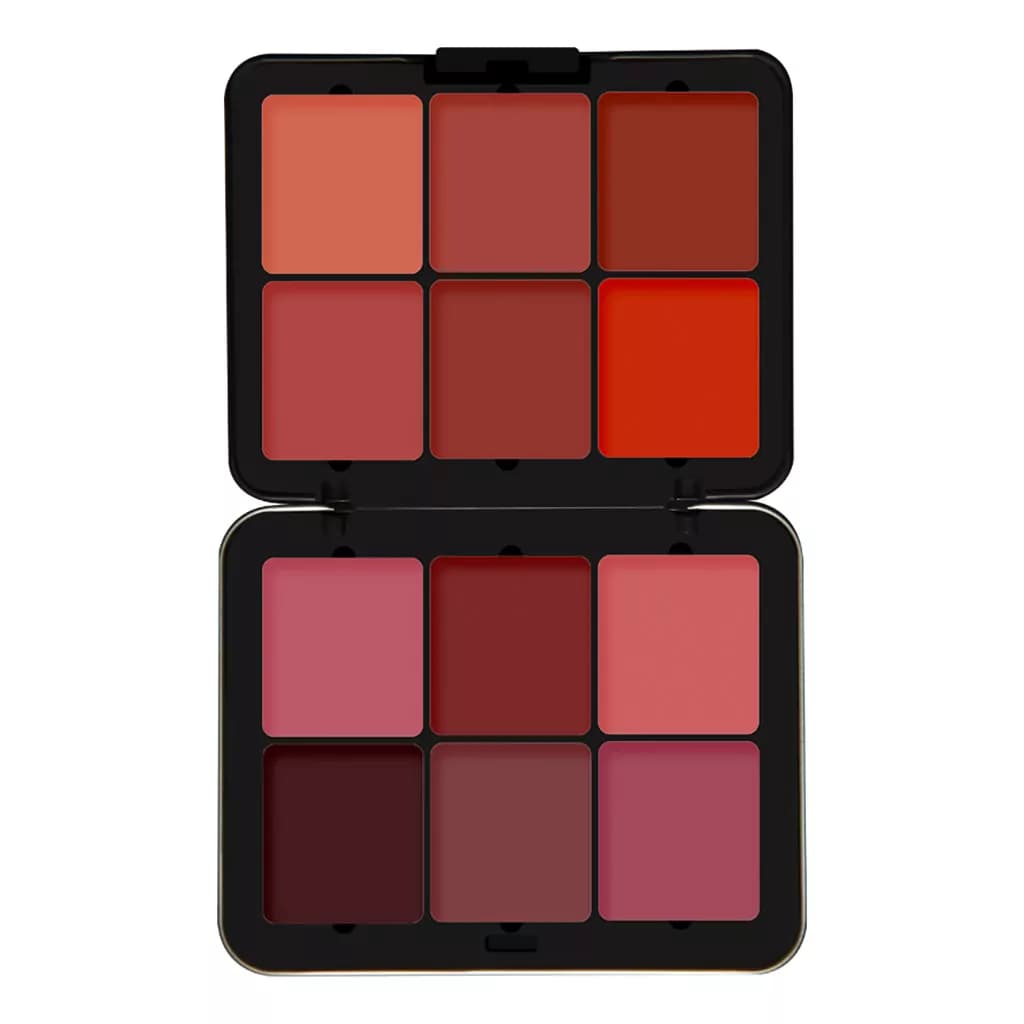 پالت رژ و رژگونه فیوچر میکاپ مدل High Definition شماره 102