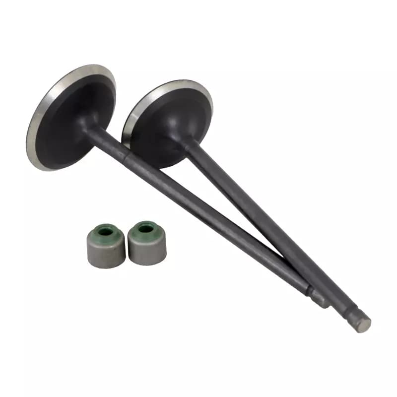 سوپاپ پالس 200-220 واروک